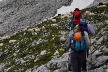 Hiking tour onto Zugspitze (2962m) via Reintal