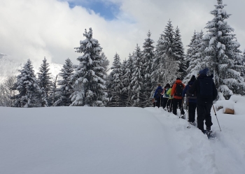 LVS course for snowshoe hikers