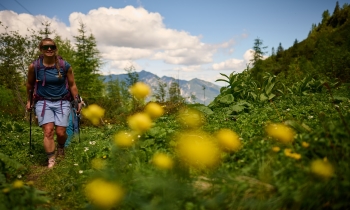 Mindful hiking